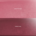 Mocha Plum | Colour Edit